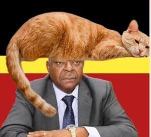 Marcos Nhunga: Líder em má governação, um gato “malanjino” escondido com o rabo de fora